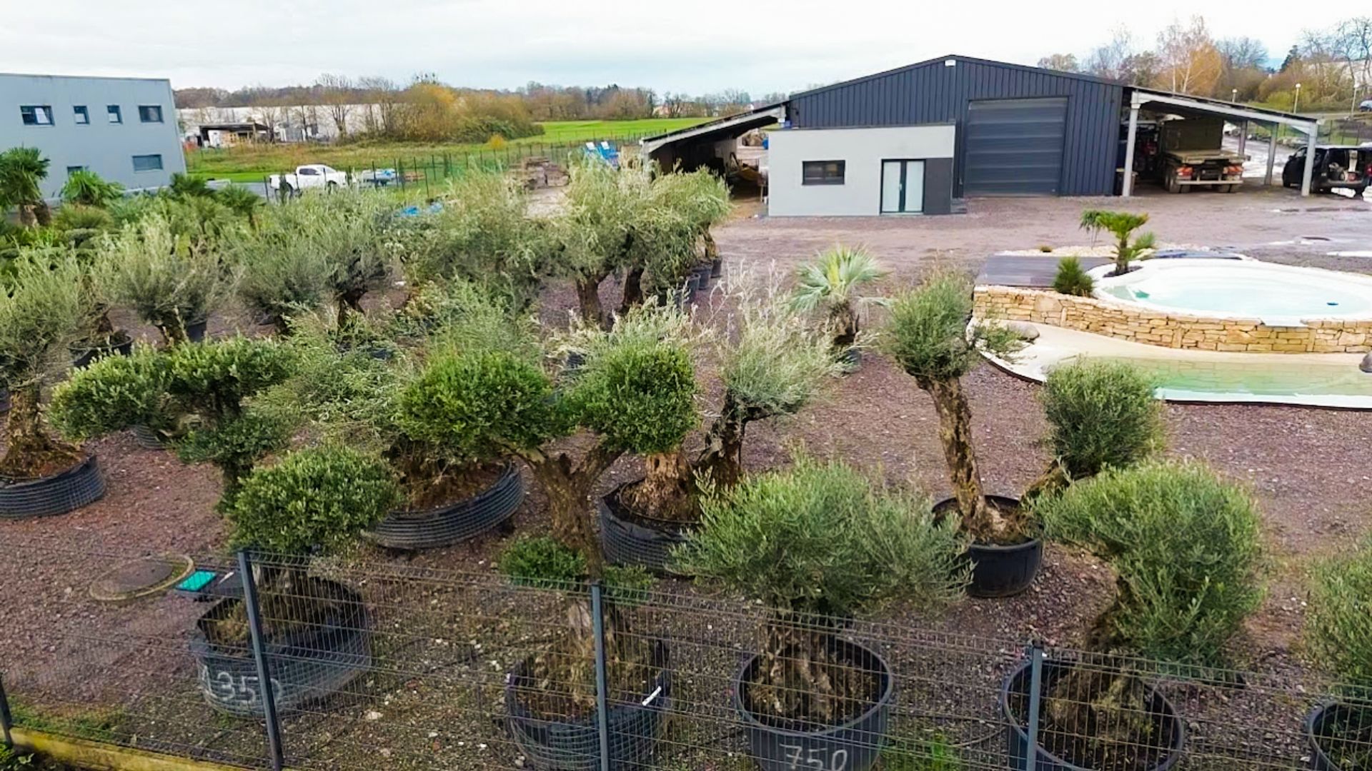 photo pepinière paysage concept